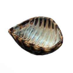 https://static.wikia.nocookie.net/greenhell_gamepedia_en/images/5/5e/Turtle_Shell.png/revision/latest/scale-to-width-down/250?cb=20181029231958