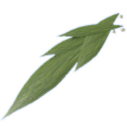 molineria leaf green hell