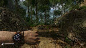 Coordinates shown players watch