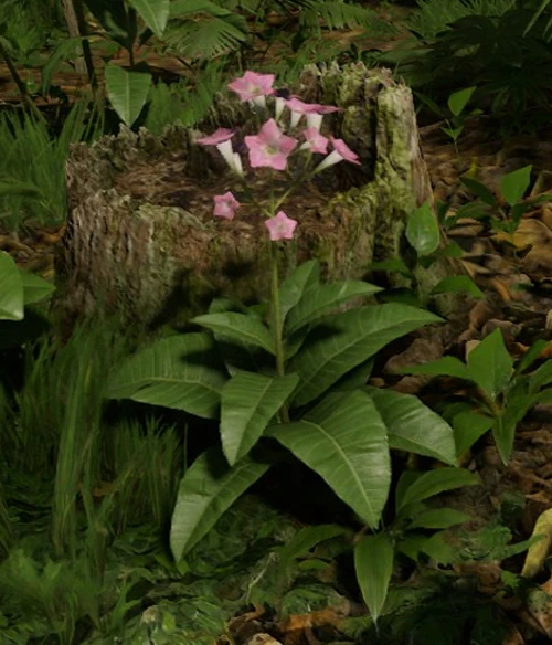 Tobacco Plant Official Green Hell Wiki