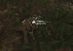 Maggots inside rotten corpse