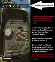 Descriptive image of Back Pack load