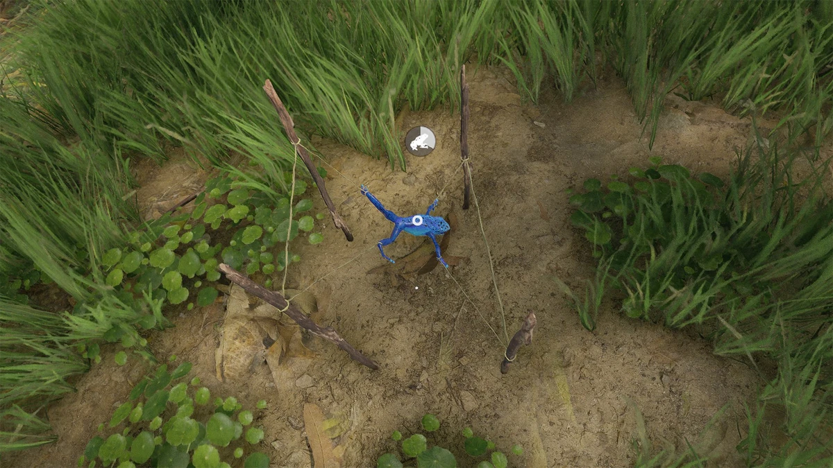 Frog Stretcher Official Green Hell Wiki