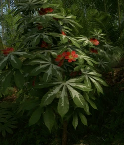 tobacco magical properties Tobacco, one of the four (sweetgrass, sage and cedar being the other three)  sacred plants of Indigenous Peoples has a very long history. Considered to  be a sacred medicine, it was used