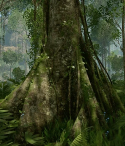 Flora - Official Green Hell Wiki