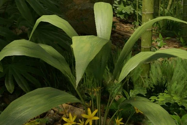 Leaf Bandage - Official Green Hell Wiki