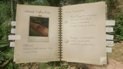 Infection - Official Green Hell Wiki
