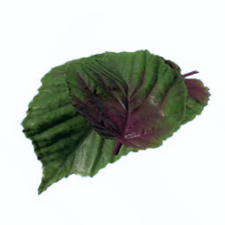 Unknown Herb A - Official Green Hell Wiki