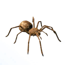 Goliath Birdeater Spider - Official Green Hell Wiki