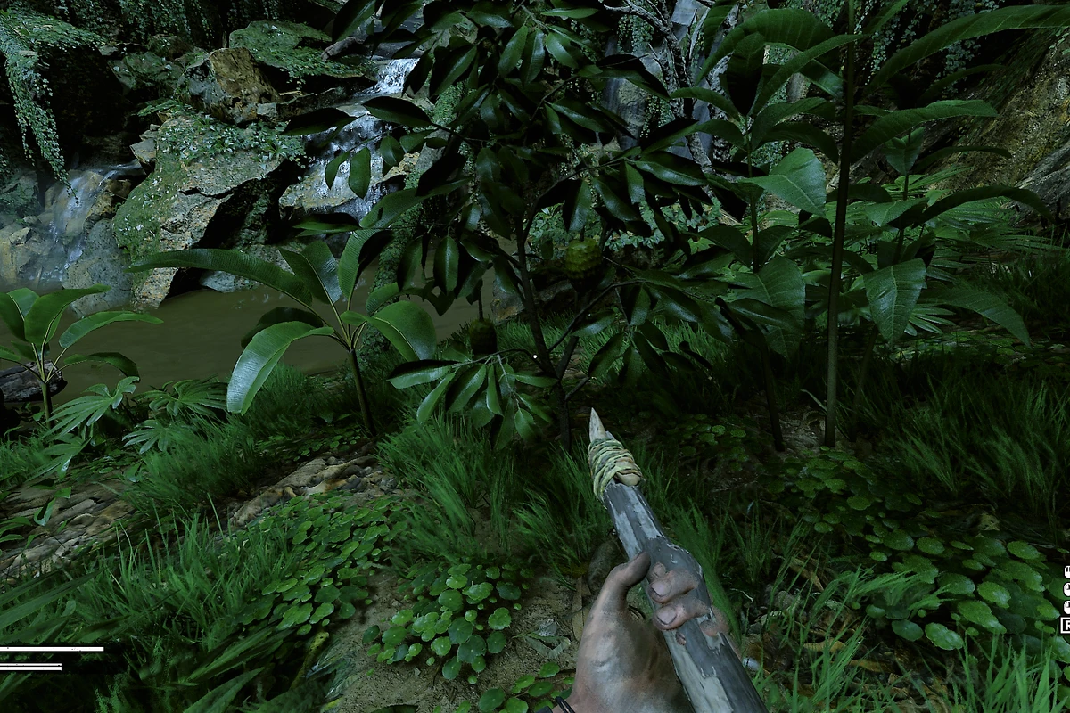 Soursop Plant Official Green Hell Wiki