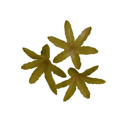 Fibers Official Green Hell Wiki