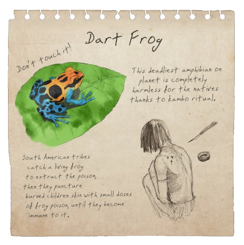 Dart Frog Notebook Page Official Green Hell Wiki