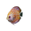 Discus fish