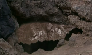 The Greenhouse The Hole.png