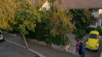 The Greenhouse Reshef Household.png