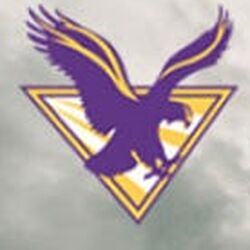 The Eagles Basket Ball Team Greenhouse Academy Wiki Fandom The Eagles Basket Ball Team Greenhouse Academy Wiki Fandom