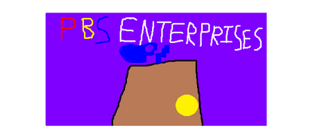 PBS Enterprises