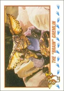 Topps The 'Brain' Gremlin.jpg (36 KB)