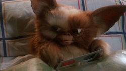 gizmo from gremlins