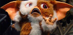 Gremlins-gizmo-scared-sequelnews