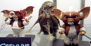 Combat Gizmo and the rumored Coccoon and Stripe figures