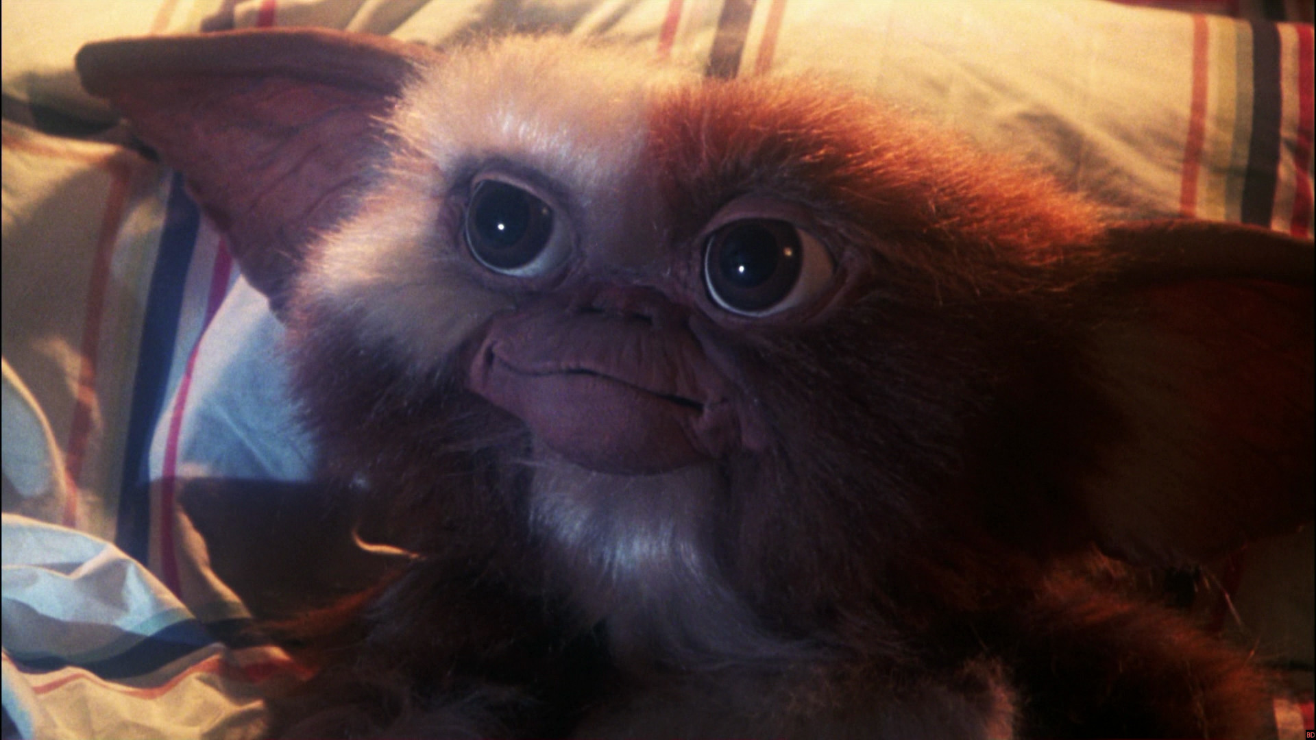 Gizmo Gremlins Wiki Fandom