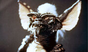 Gremlins-560-dante