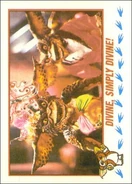 Topps Divine, Simply Divine!.jpg (37 KB)