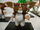 GremlinsMogwai7383.JPG