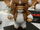 GremlinsStripeMogwai7384.JPG