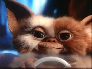 Cute gizmo