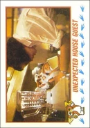 Topps Unexpected House Guest.jpg (34 KB)