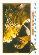 Topps Brainy Reflections.jpg (38 KB)