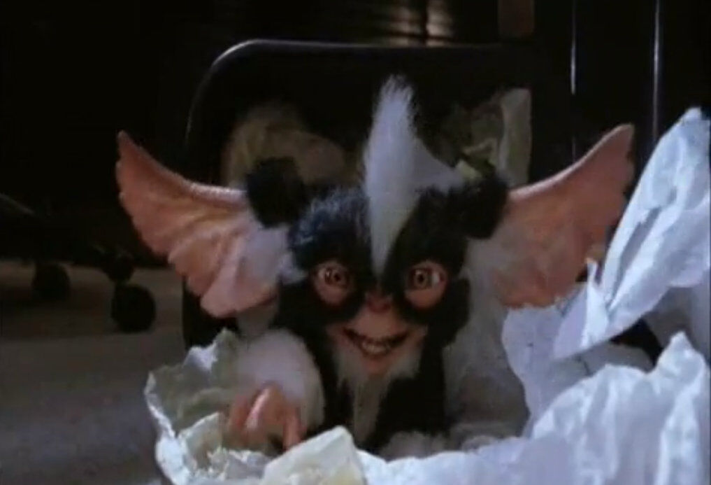 Mohawk | Gremlins Wiki | Fandom