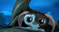 Gizmo sad