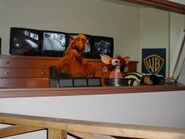 Gizmo and the famous Warner Brothers character, ALF, at the beginning of the ride.