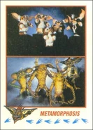 Topps Metamorphosis.jpg (36 KB)