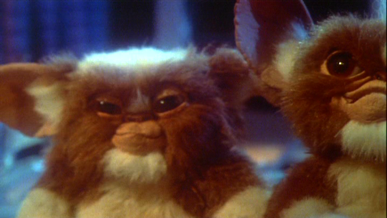 mogwai gremlins gizmo cute