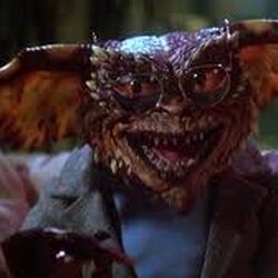 Language Of The Mogwai And Gremlins Gremlins Wiki Fandom