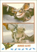 Topps Buried Alive!.jpg (37 KB)