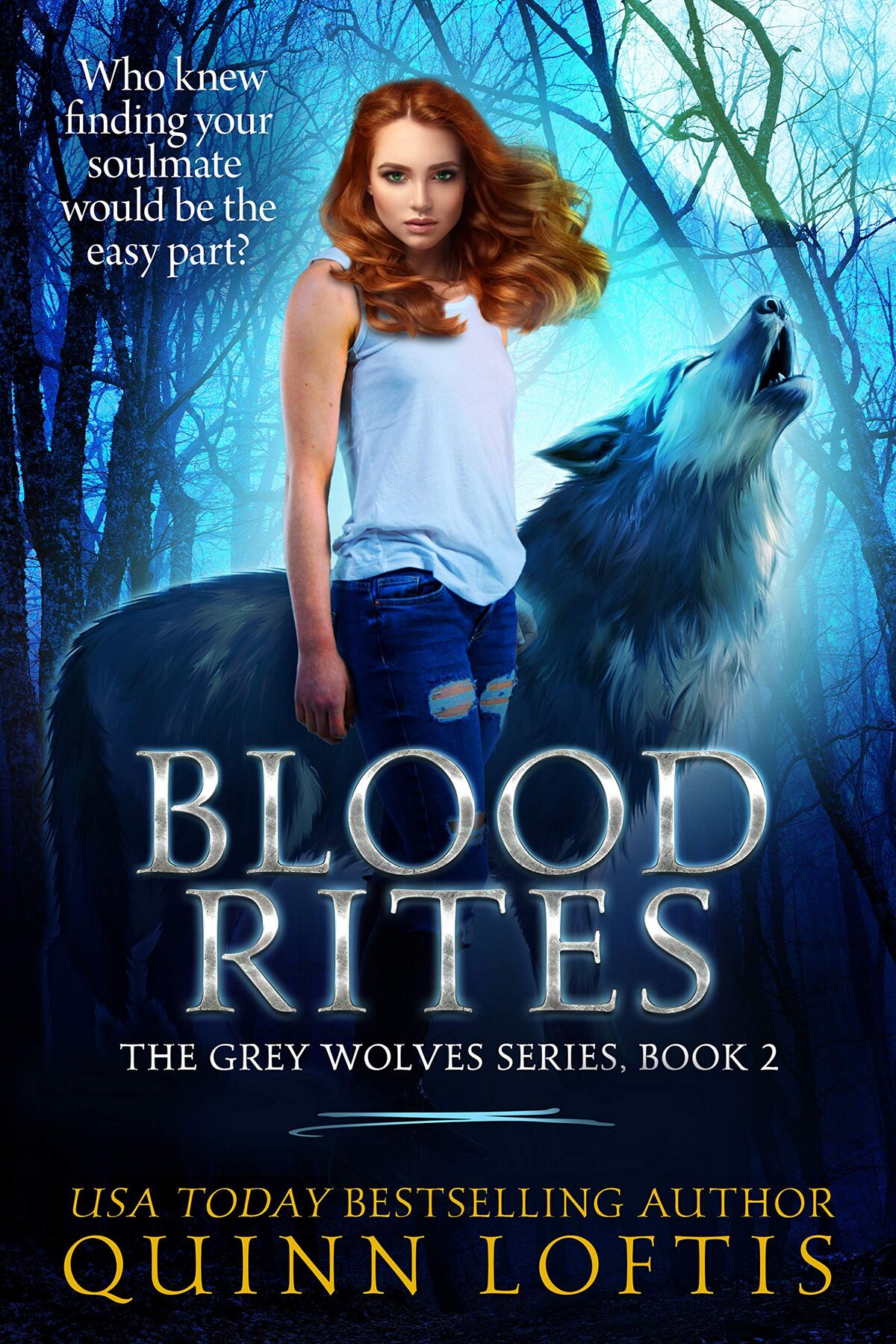 Blood Rites (Book) | Grey Wolves & Gypsy Healers Series Wiki | Fandom