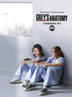 Poster-Greys-Anatomy-Saison-8