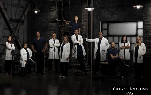 Wiki Grey's Anatomy