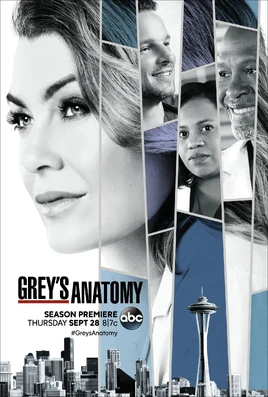 Grey'sAnatomyS14Poster