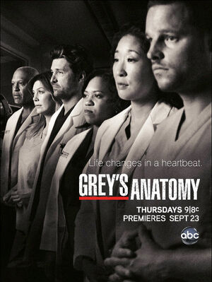 Greys-Anatomy-Season-7-Poster.jpg