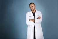 Jackson Avery (S6 à 19) - Chirurgie Plastique