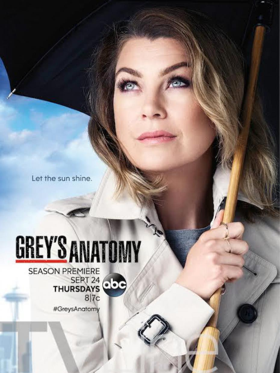 Greys Anatomy En Streaming Saison 12