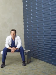 GAS6DerekShepherd1.jpg (380 KB)