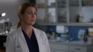Meredith Grey