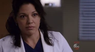 Callie Torres